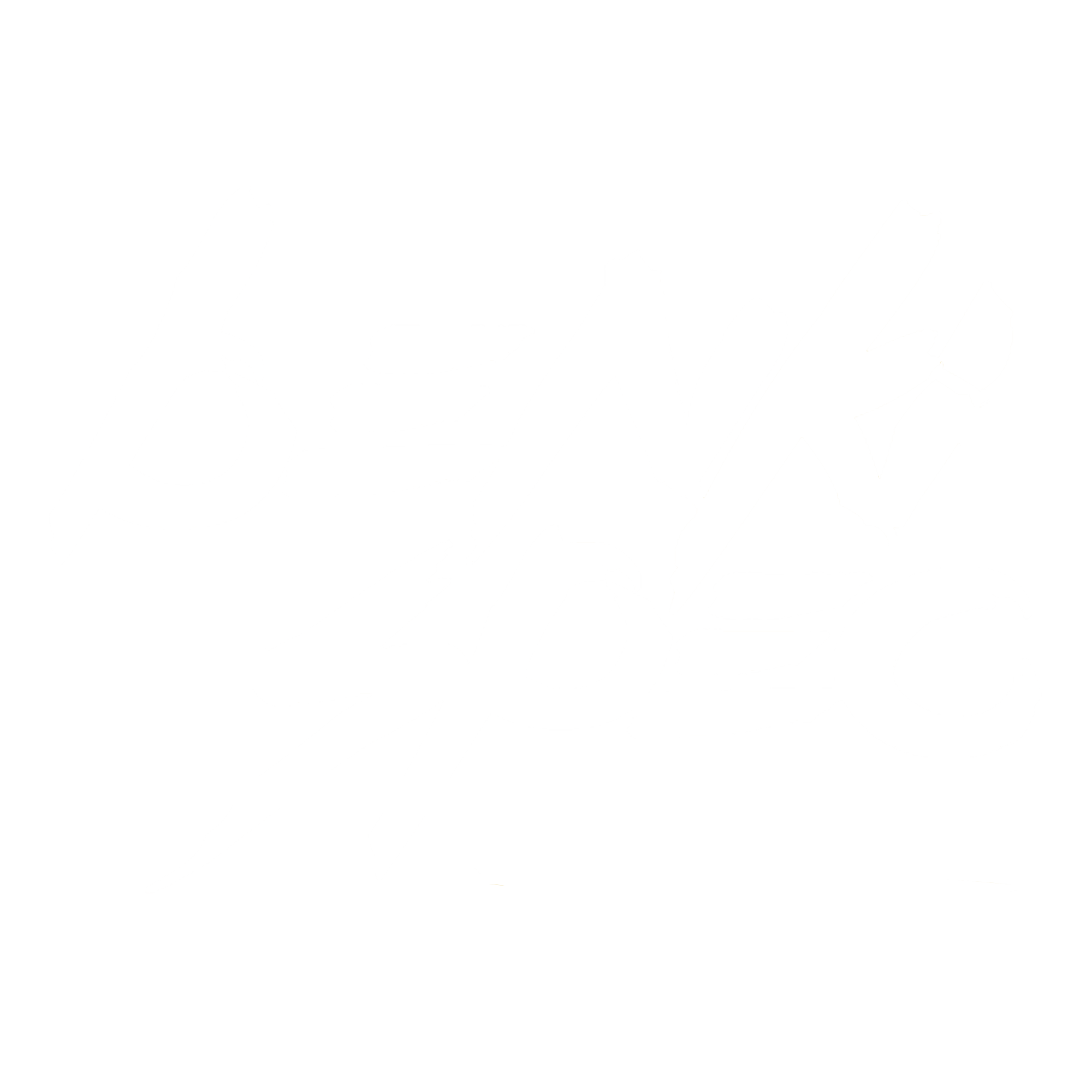 Benki Co